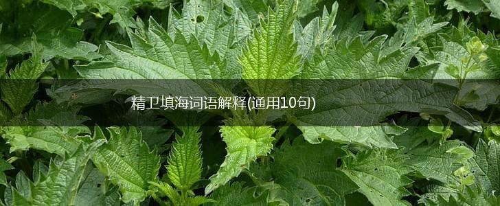 精卫填海词语解释(通用10句),第1张