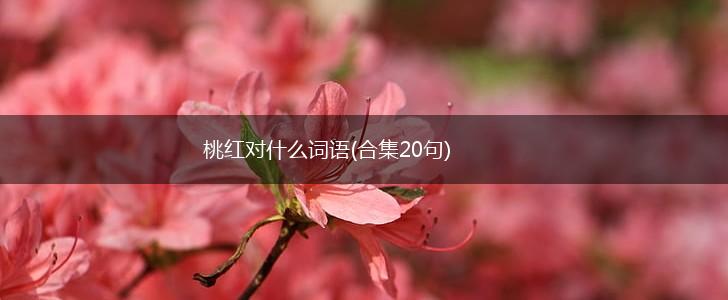 桃红对什么词语(合集20句),第1张