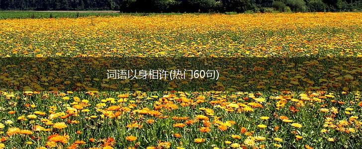 词语以身相许(热门60句),第1张