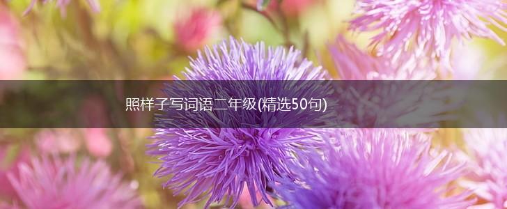 照样子写词语二年级(精选50句),第1张