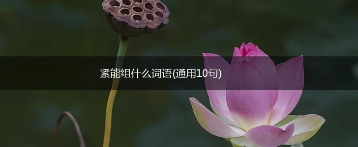 紧能组什么词语(通用10句),第1张