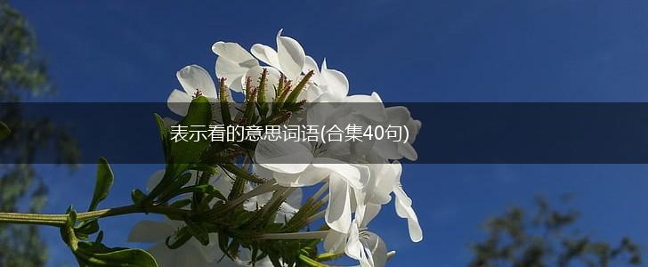 表示看的意思词语(合集40句),第1张