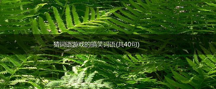 猜词语游戏的搞笑词语(共40句),第1张