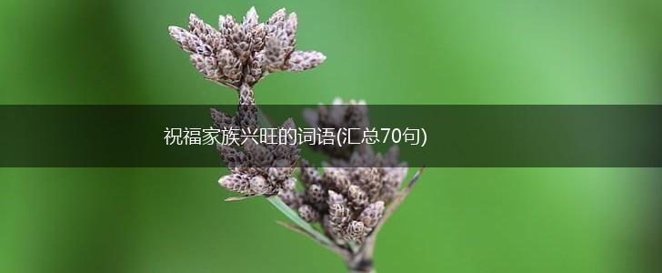 祝福家族兴旺的词语(汇总70句),第1张