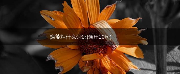 燃能组什么词语(通用10句),第1张
