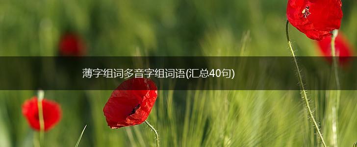 薄字组词多音字组词语(汇总40句),第1张