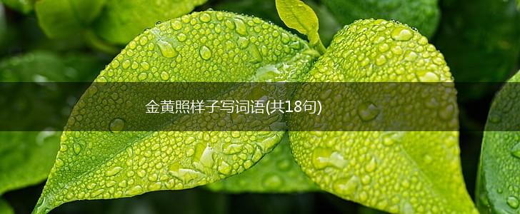 金黄照样子写词语(共18句),第1张