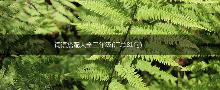 词语搭配大全三年级(汇总81句),第1张