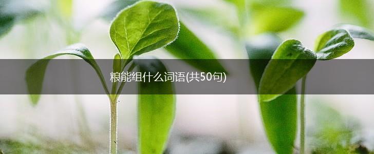 粮能组什么词语(共50句),第1张
