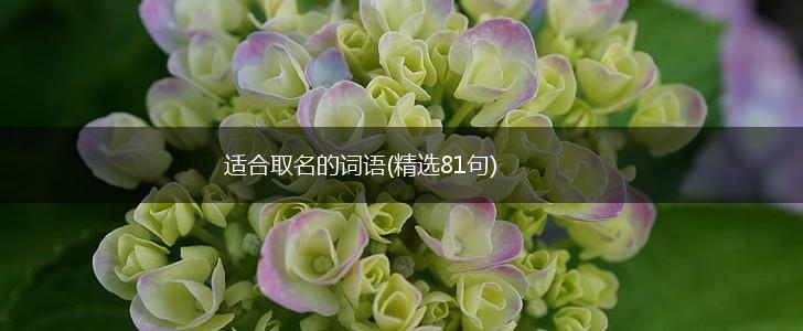 适合取名的词语(精选81句),第1张