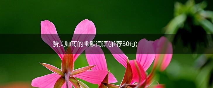 赞美帅哥的幽默词语(推荐30句),第1张