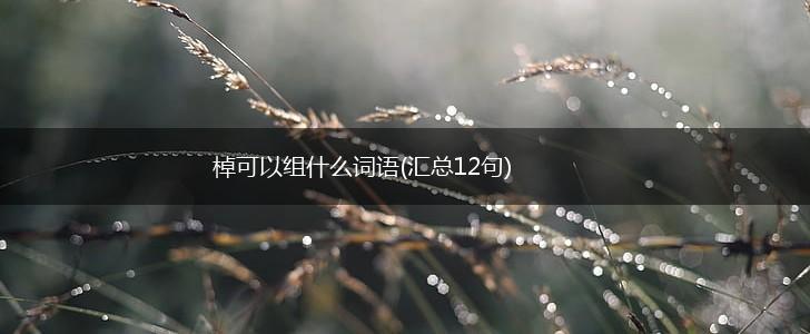 棹可以组什么词语(汇总12句),第1张