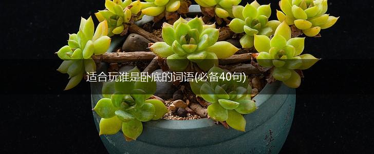 适合玩谁是卧底的词语(必备40句),第1张