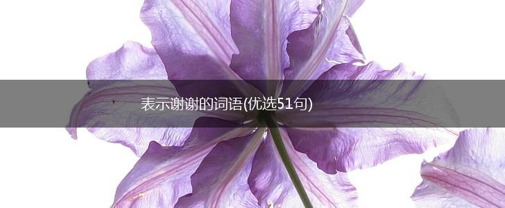 表示谢谢的词语(优选51句),第1张