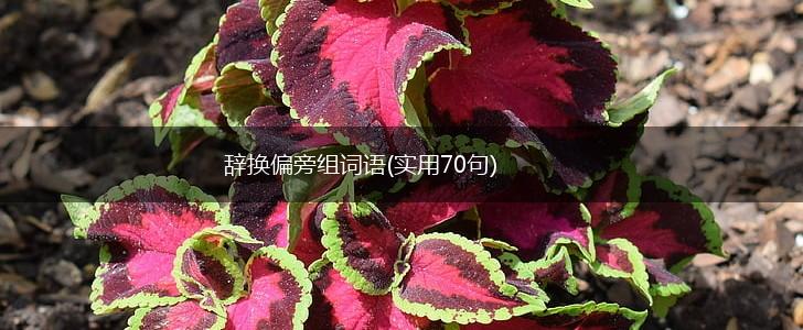 辞换偏旁组词语(实用70句),第1张