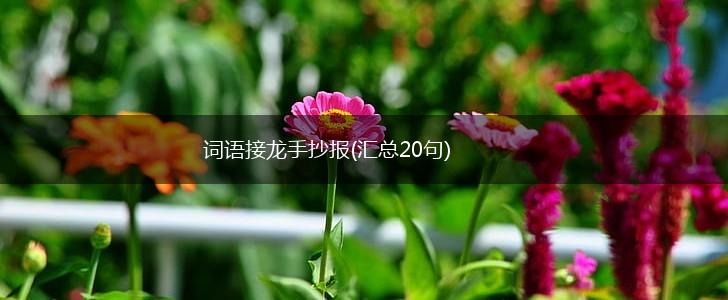 词语接龙手抄报(汇总20句),第1张