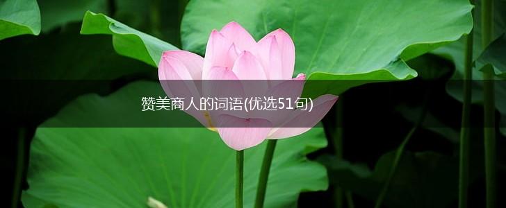 赞美商人的词语(优选51句),第1张