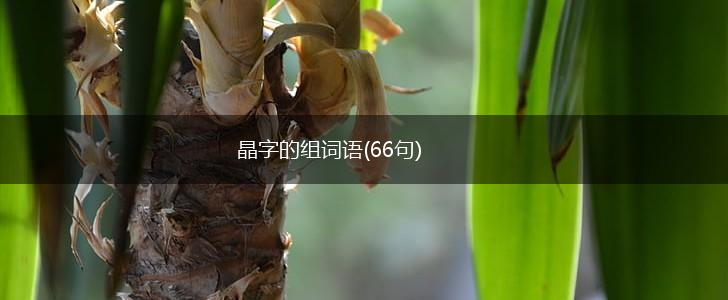 晶字的组词语(66句),第1张
