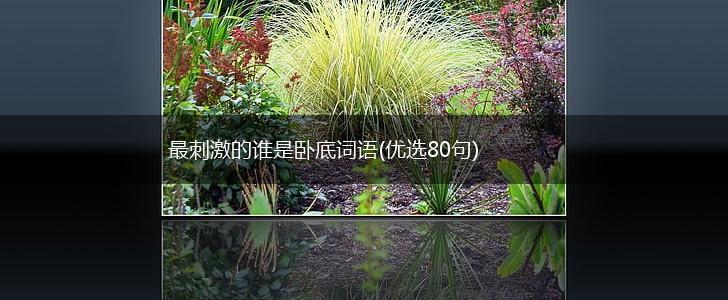 最刺激的谁是卧底词语(优选80句),第1张