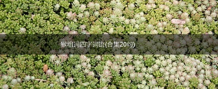 猴组词四字词语(合集20句),第1张