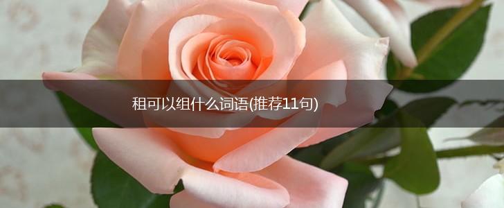 租可以组什么词语(推荐11句),第1张