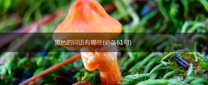 黑色的词语有哪些(必备61句),第1张