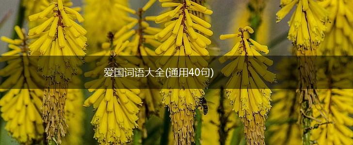 爱国词语大全(通用40句),第1张