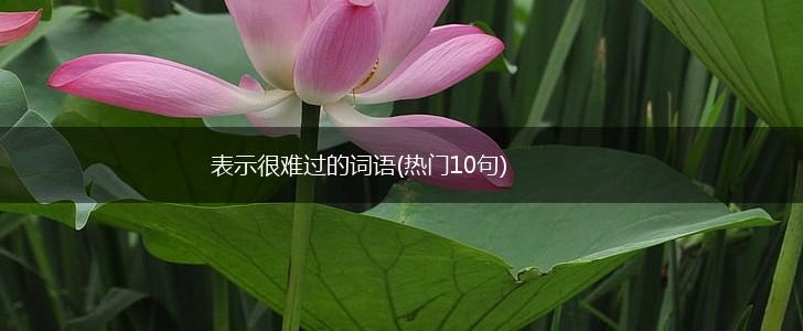 表示很难过的词语(热门10句),第1张