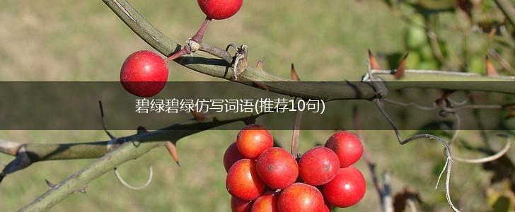 碧绿碧绿仿写词语(推荐10句),第1张