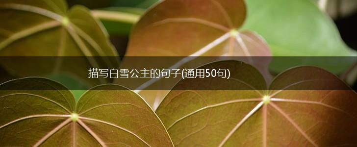 描写白雪公主的句子(通用50句),第1张
