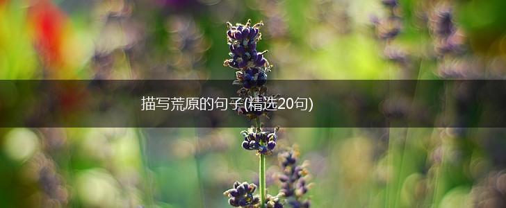 描写荒原的句子(精选20句),第1张
