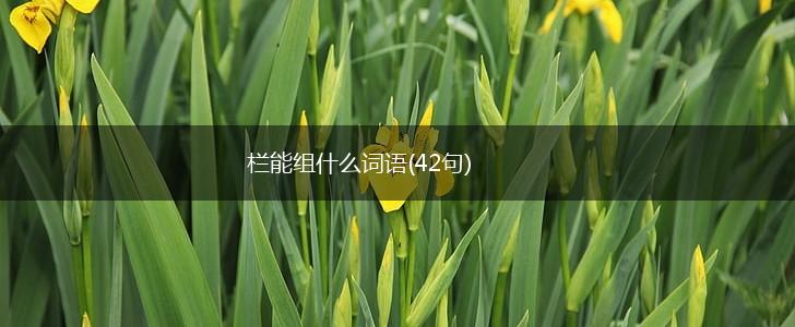 栏能组什么词语(42句),第1张