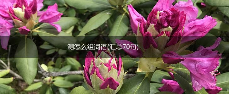 测怎么组词语(汇总70句),第1张