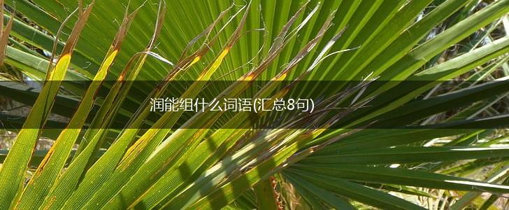 润能组什么词语(汇总8句),第1张