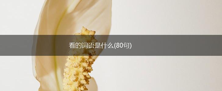 看的词语是什么(80句),第1张