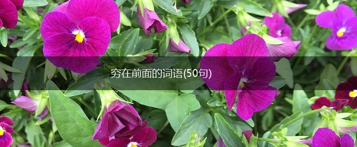 穷在前面的词语(50句),第1张