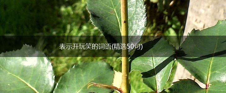表示开玩笑的词语(精选50句),第1张