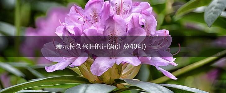 表示长久兴旺的词语(汇总40句),第1张