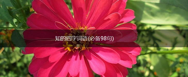 知的四字词语(必备98句),第1张