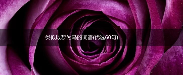 类似以梦为马的词语(优选60句),第1张
