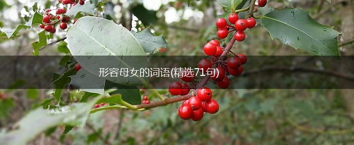 形容母女的词语(精选71句),第1张