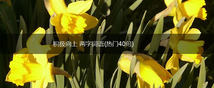 积极向上 两字词语(热门40句),第1张