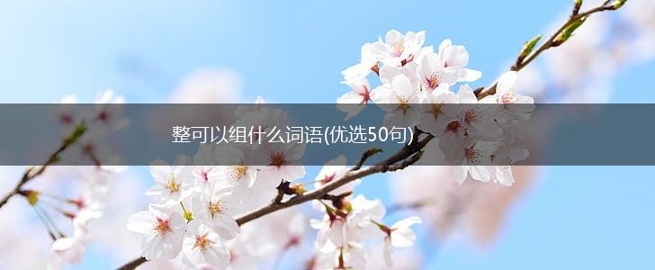 整可以组什么词语(优选50句),第1张