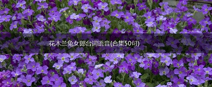 花木兰兔女郎台词语音(合集50句),第1张
