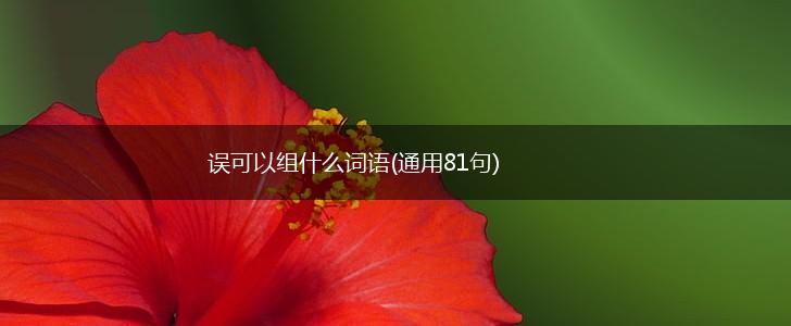 误可以组什么词语(通用81句),第1张