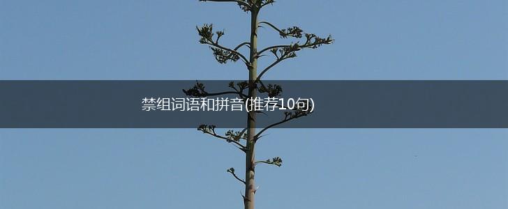 禁组词语和拼音(推荐10句),第1张