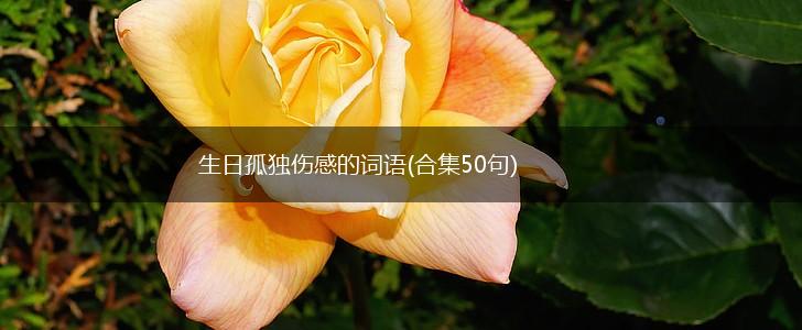 生日孤独伤感的词语(合集50句),第1张