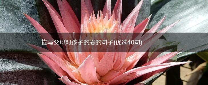 描写父母对孩子的爱的句子(优选40句),第1张