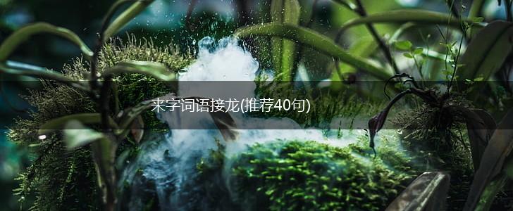 来字词语接龙(推荐40句),第1张