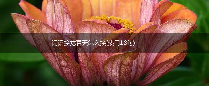 词语接龙春天怎么接(热门18句),第1张